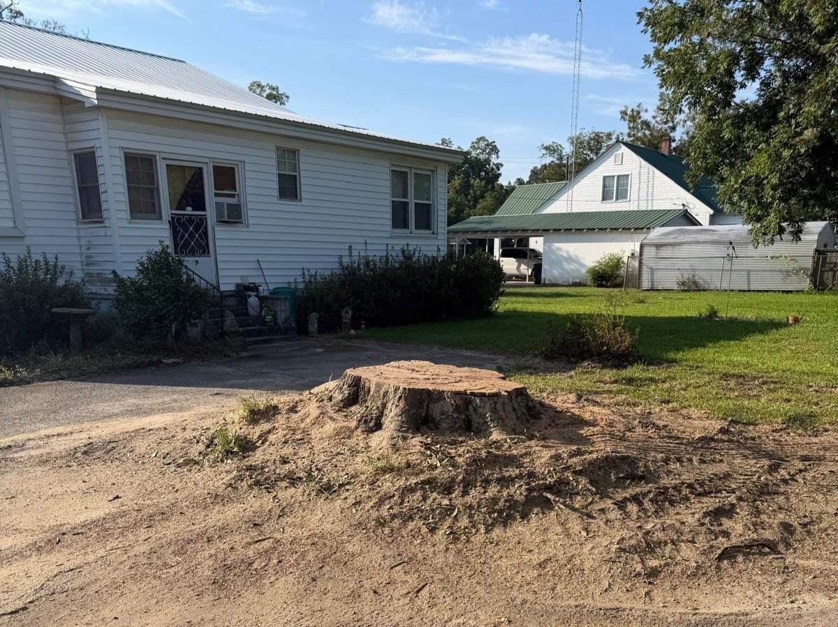 El Costeño Tree Service LLC